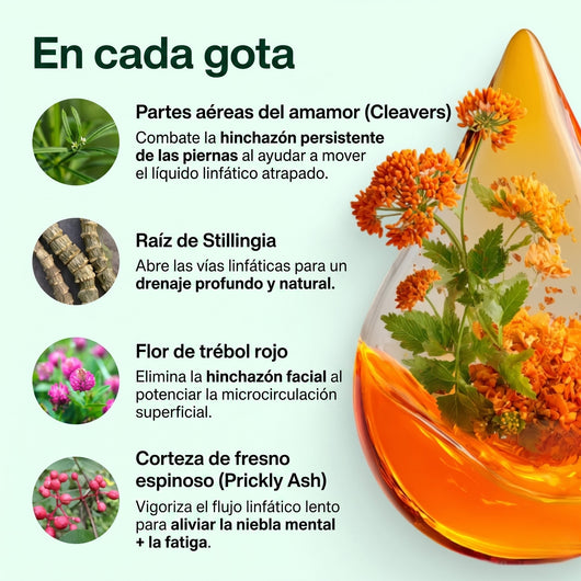 Glowja™ Gotas de drenaje linfático